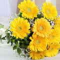 Perfect Yellow