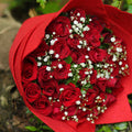 Red Roses Simplicity