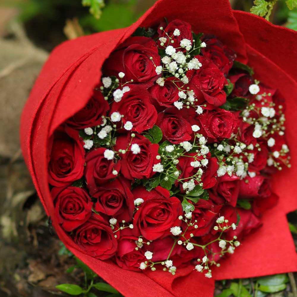 Red Roses Simplicity