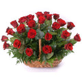 Your like a Red rose