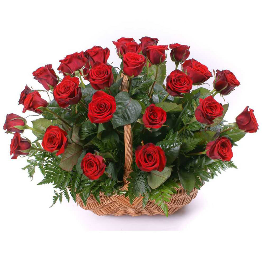 Your like a Red rose