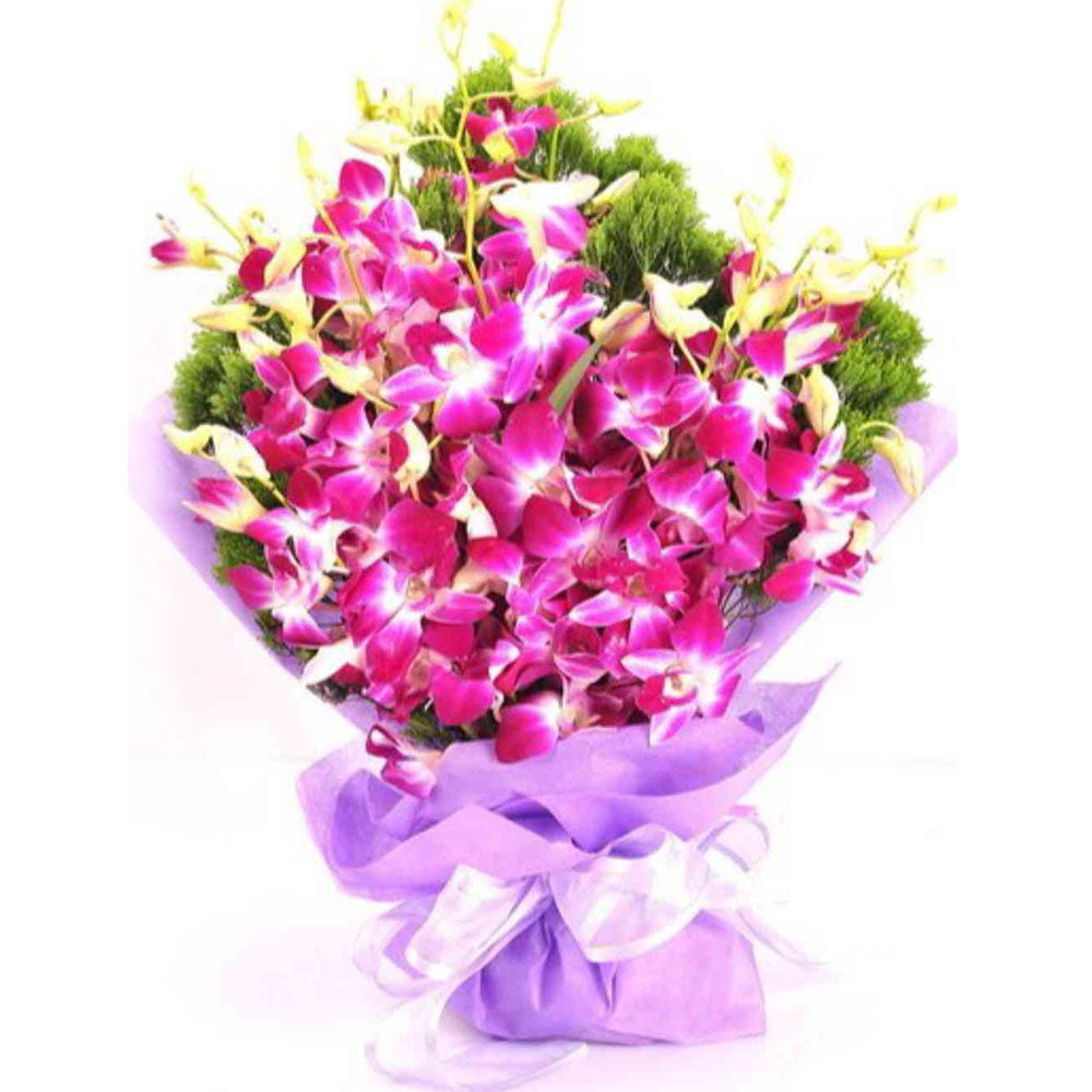 Purple Orchid Celebration