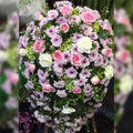 Ross Funeral Standing Wreath