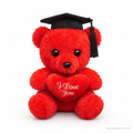 Graduation Bear (8")
