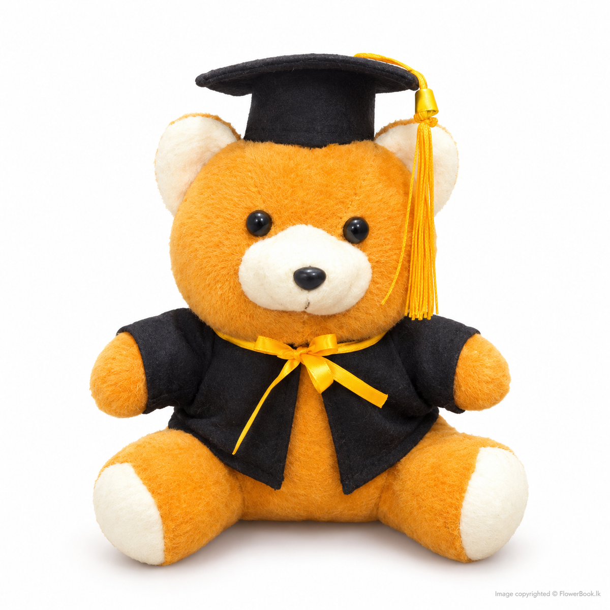 Graduation Bear (9")
