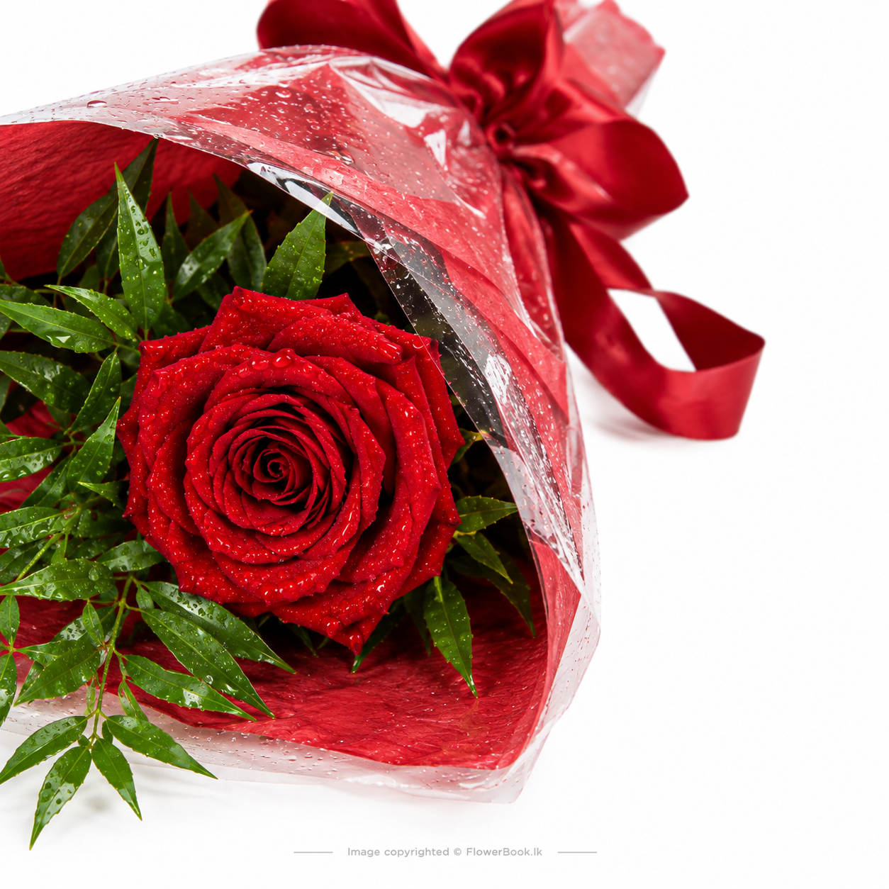 Crimson Rose