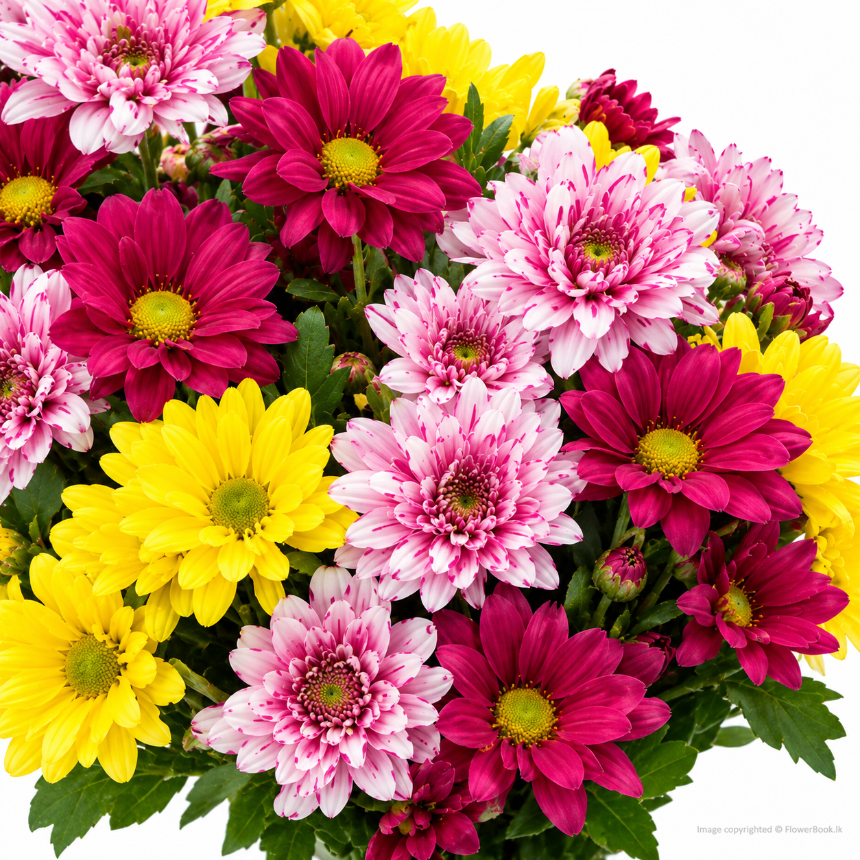Blooming Gratitude Bouquet