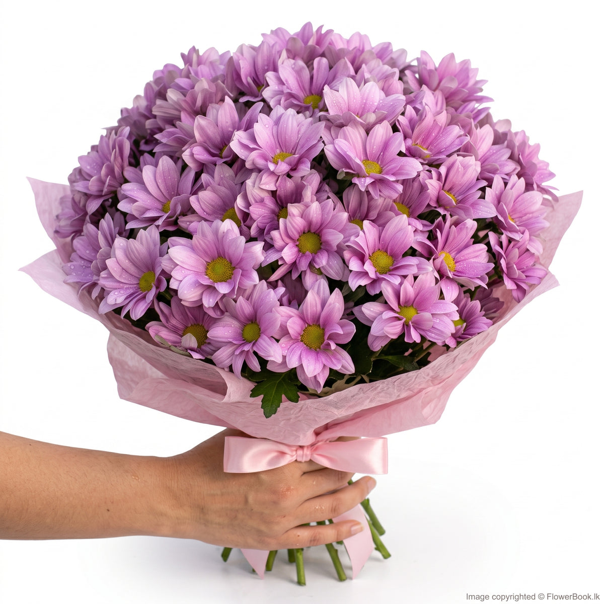 Pink Shade Chryshanthimum Bunch 12 Nos