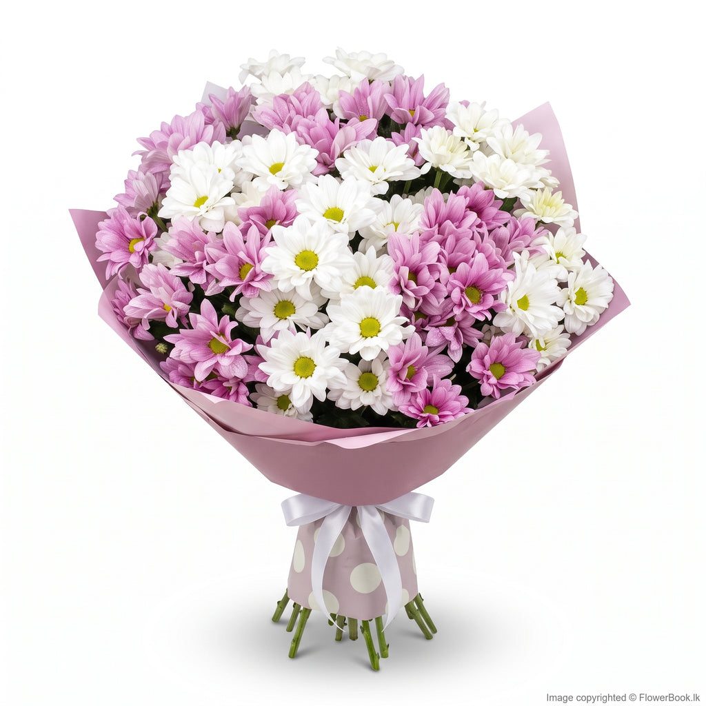 Mix Chryshanthimum Bunch 10 Nos