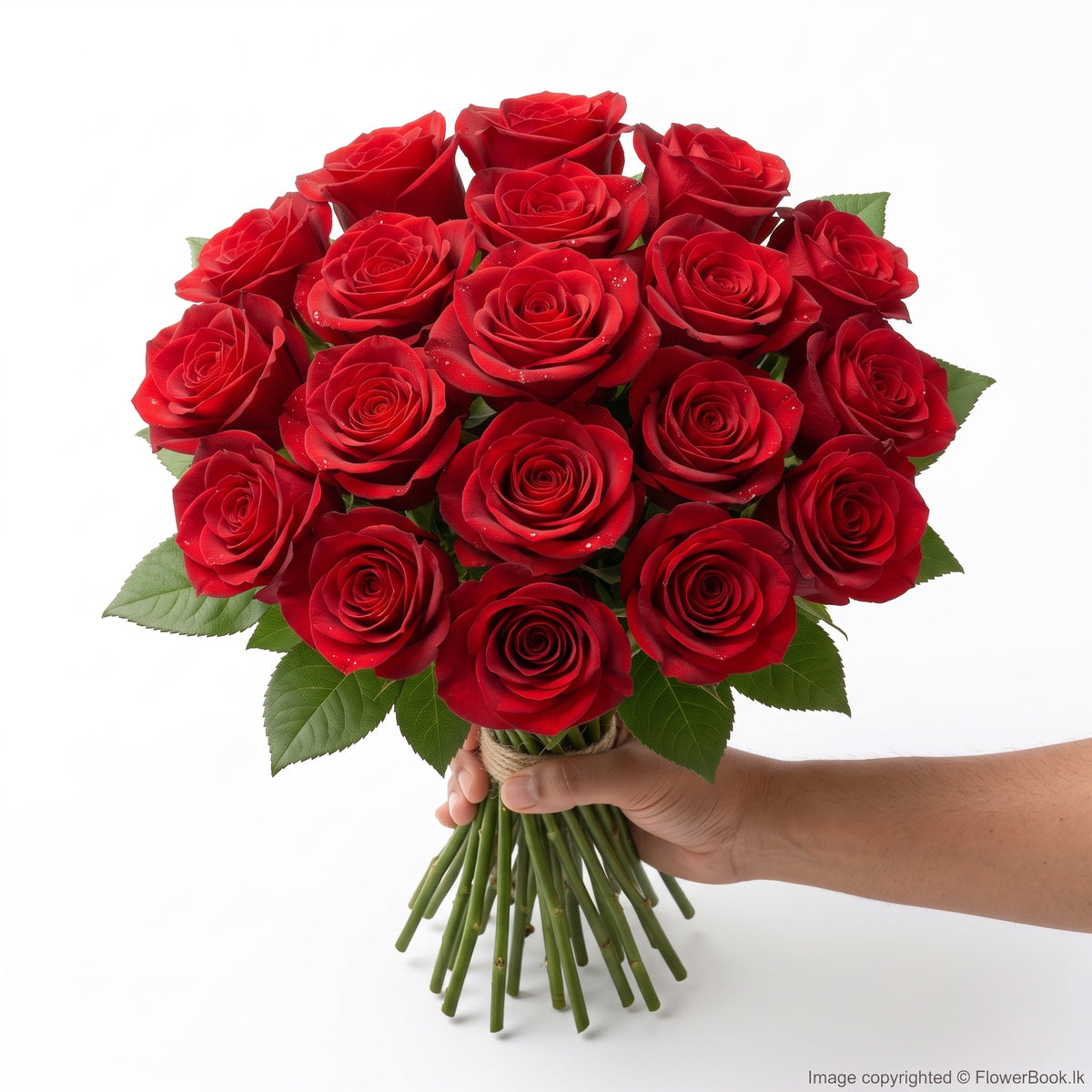 Red Roses Sheaf 15 Nos