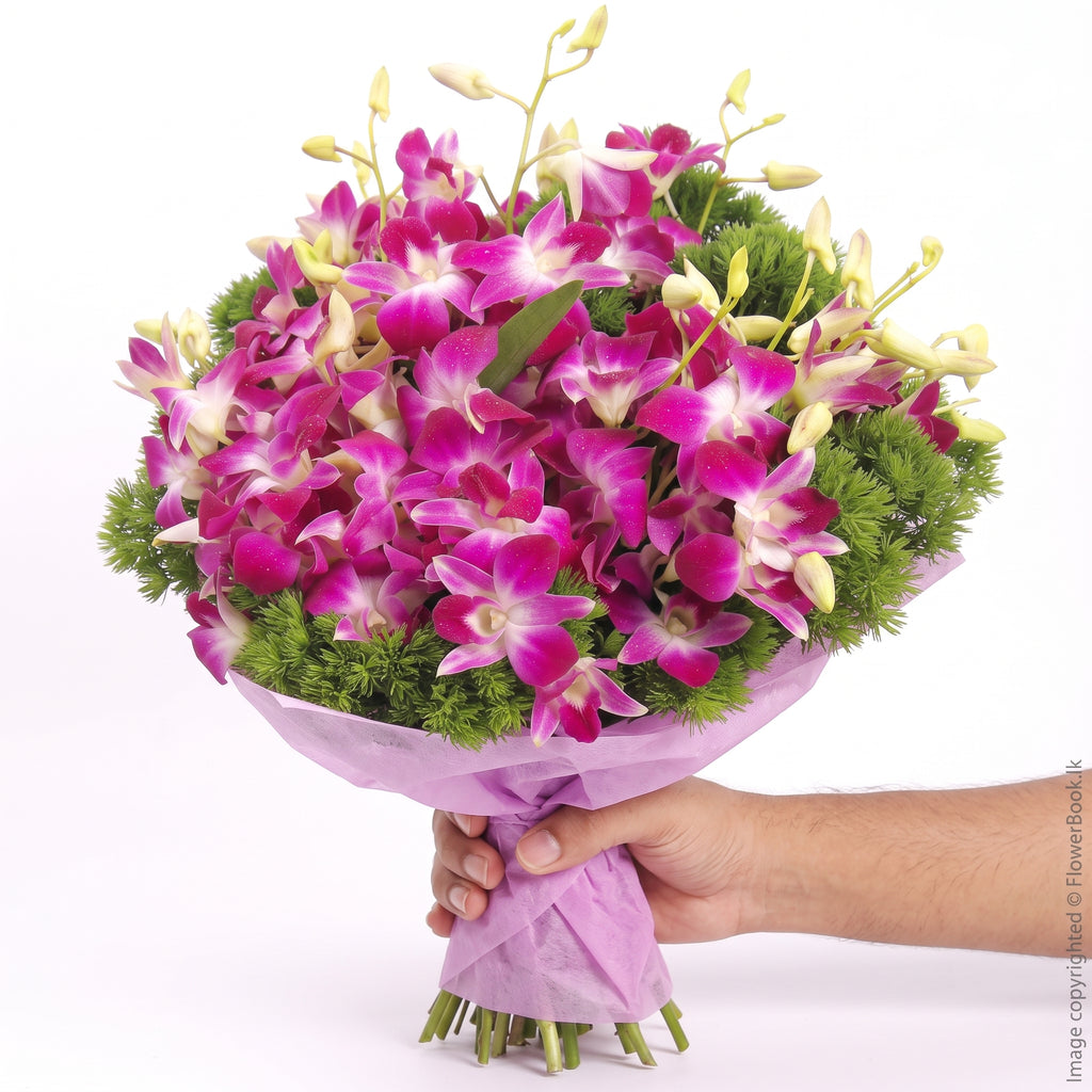 Orchid Celebration