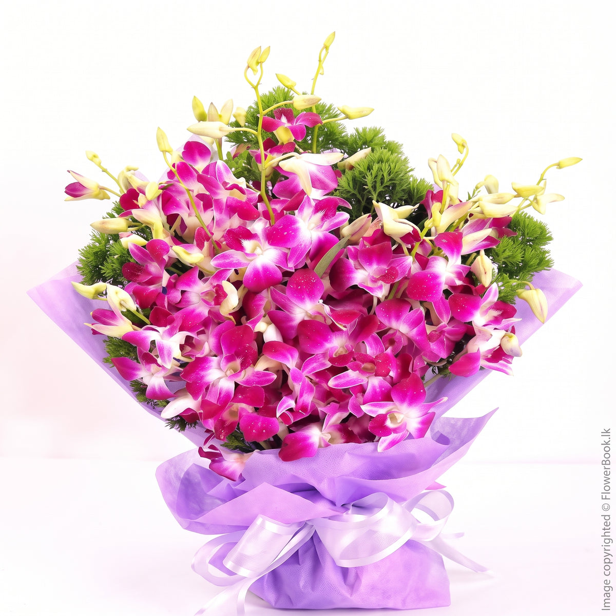 Orchid Celebration