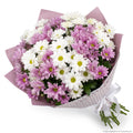Mix Chryshanthimum Bunch 10 Nos