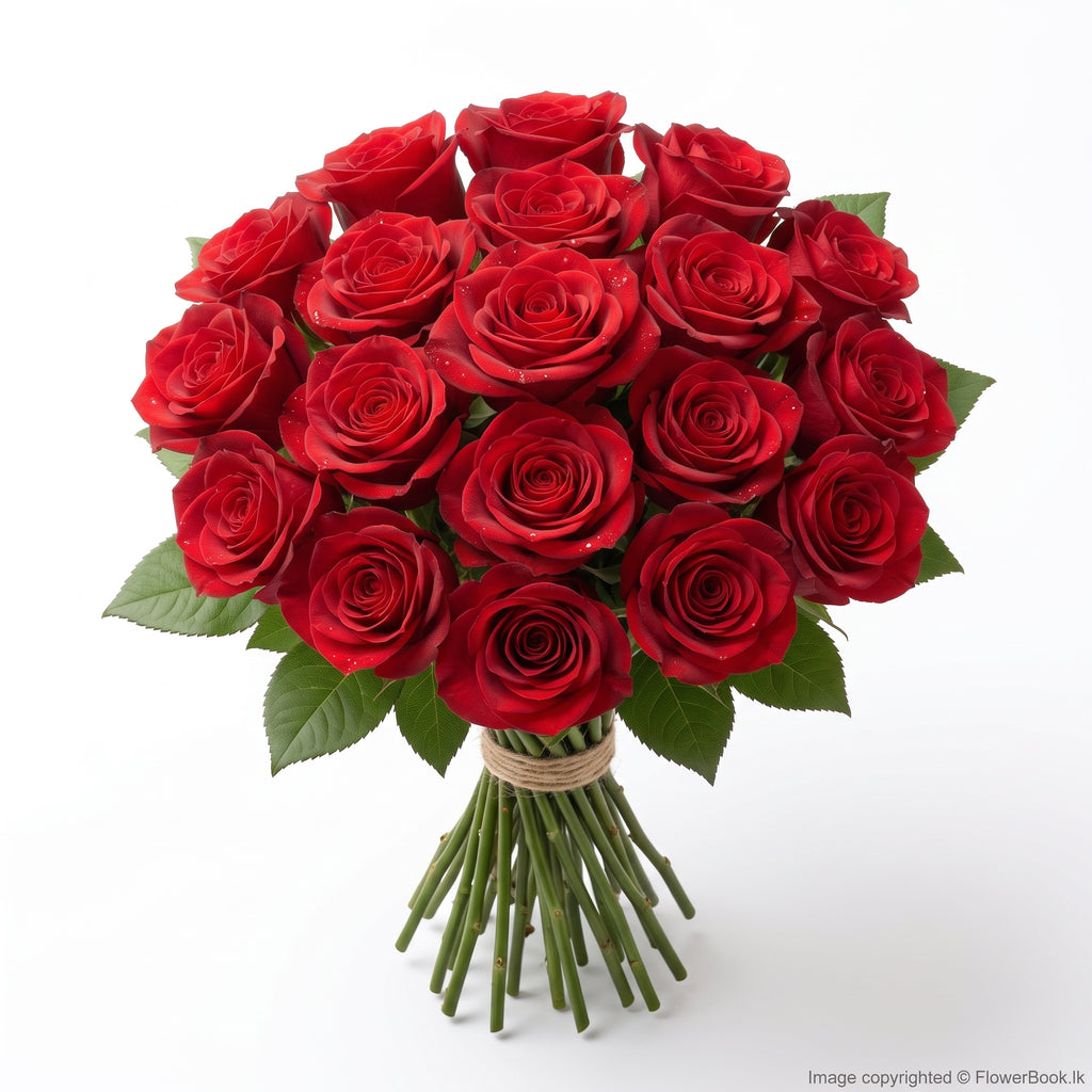 Red Roses Sheaf 15 Nos