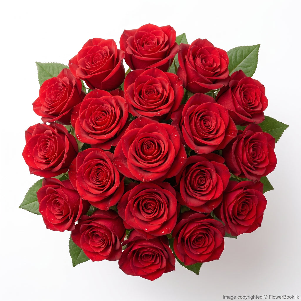 Red Roses Sheaf 15 Nos