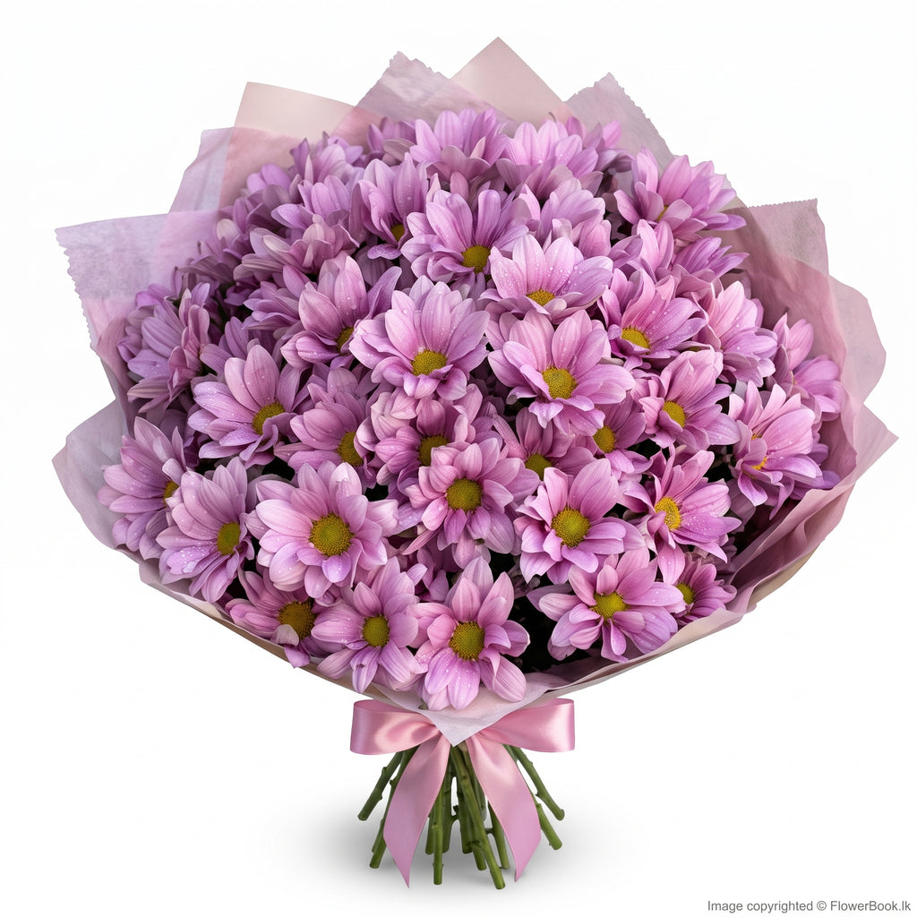 Pink Shade Chryshanthimum Bunch 12 Nos