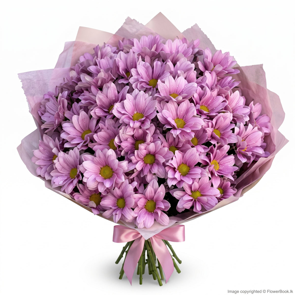 Pink Shade Chryshanthimum Bunch 12 Nos