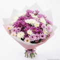 Purple Celebration