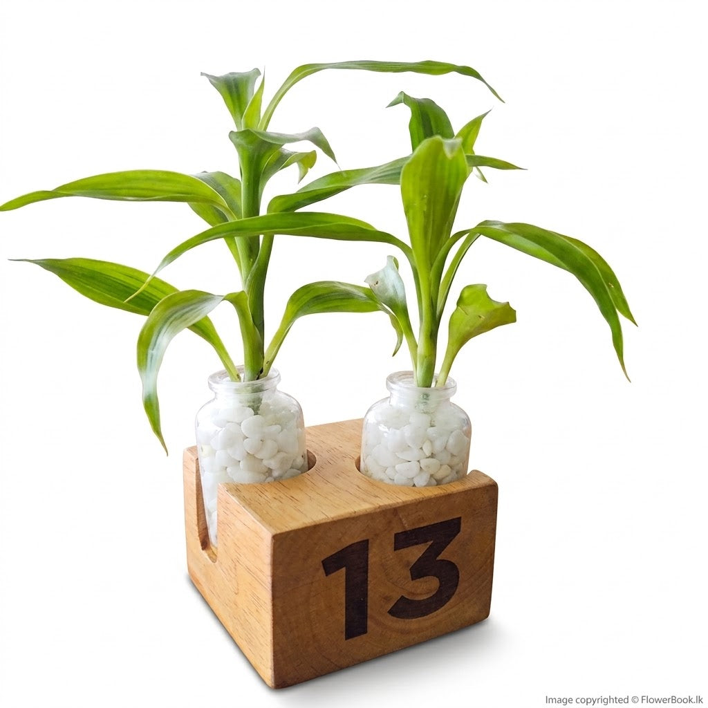 Table Numbering Set