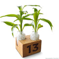 Table Numbering Set