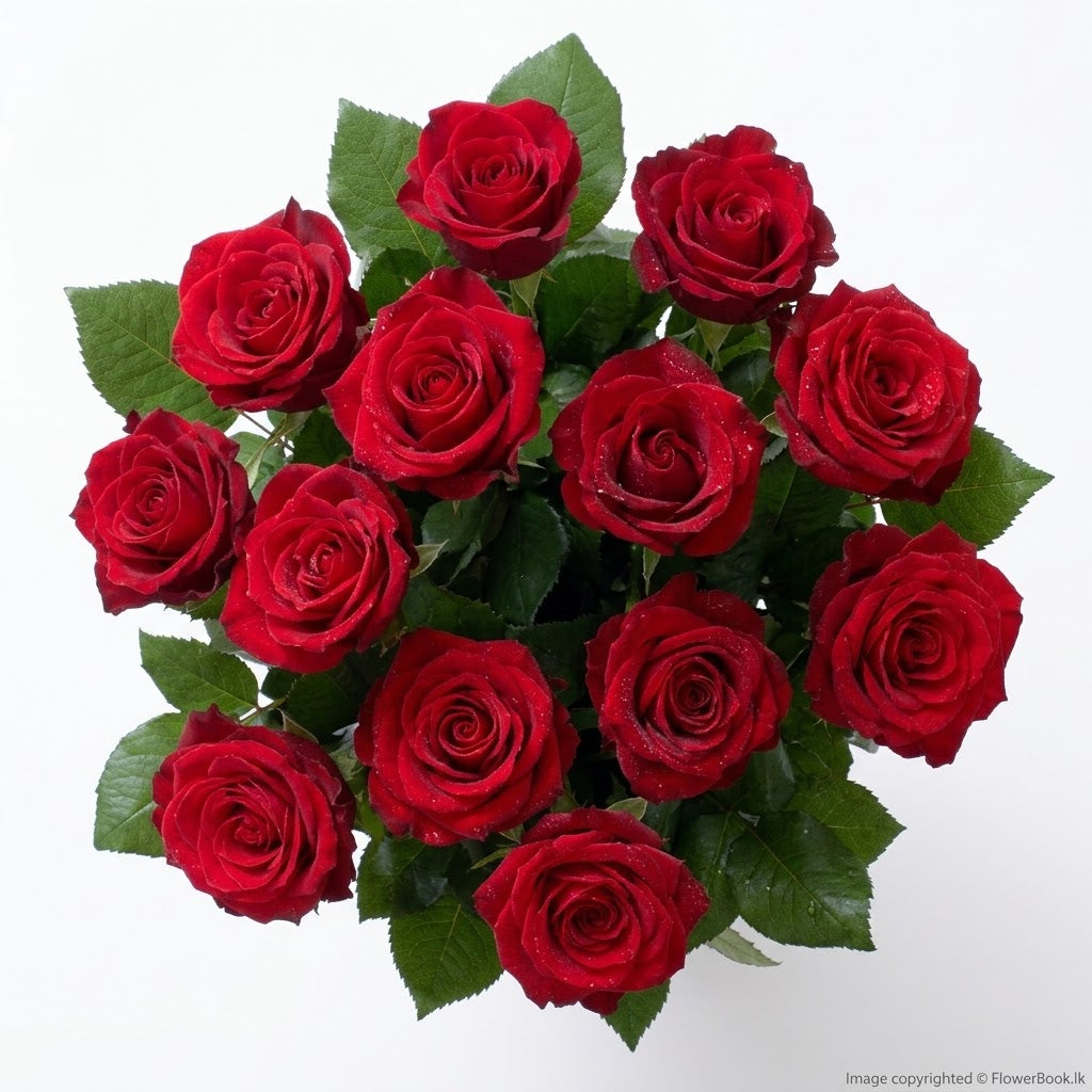 Romantic Roses