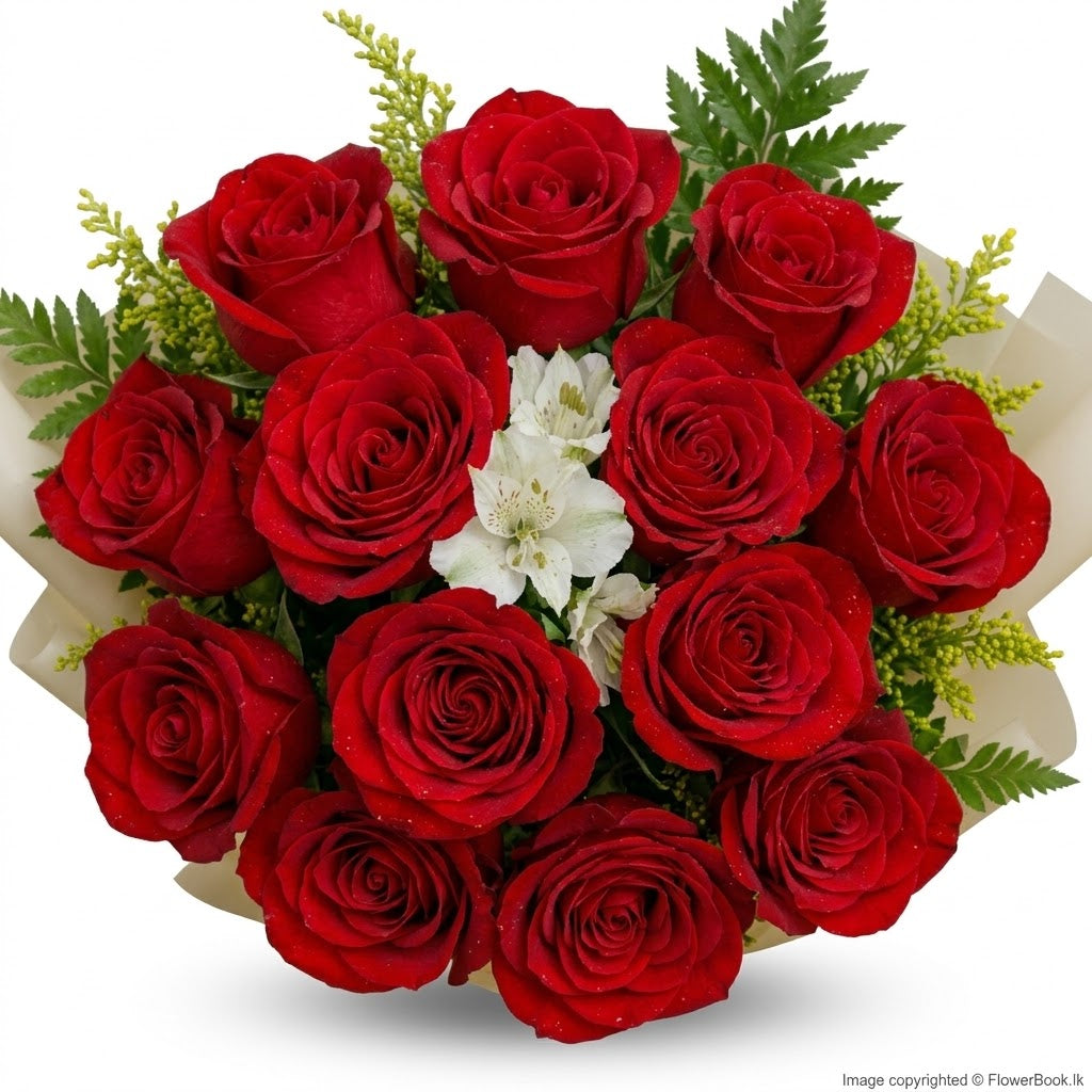 Red Radiant Sheaf