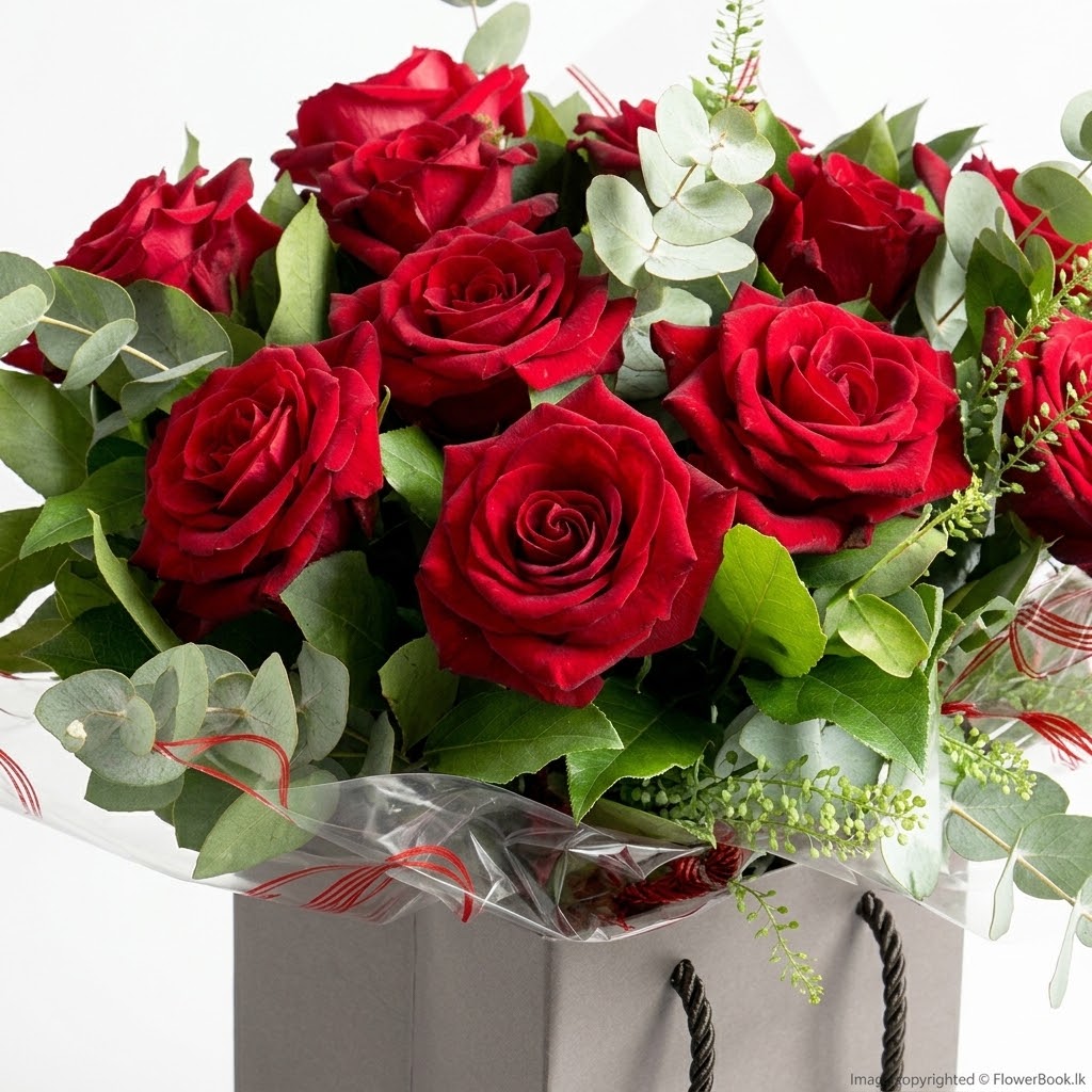 Velvet Red Rose