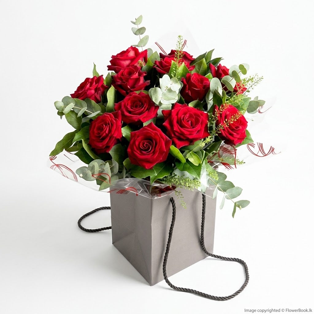 Velvet Red Rose