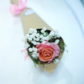 Romance Fresh