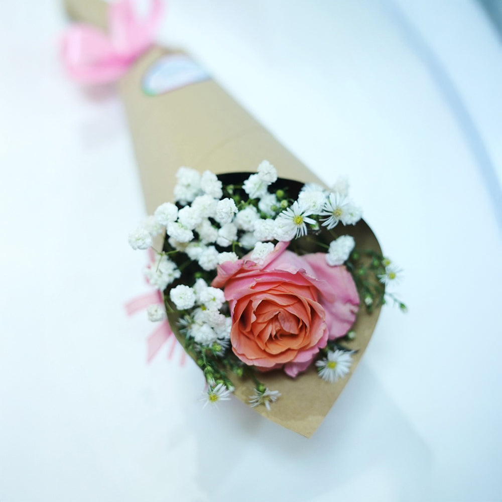 Romance Fresh