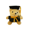 Graduation Teddy